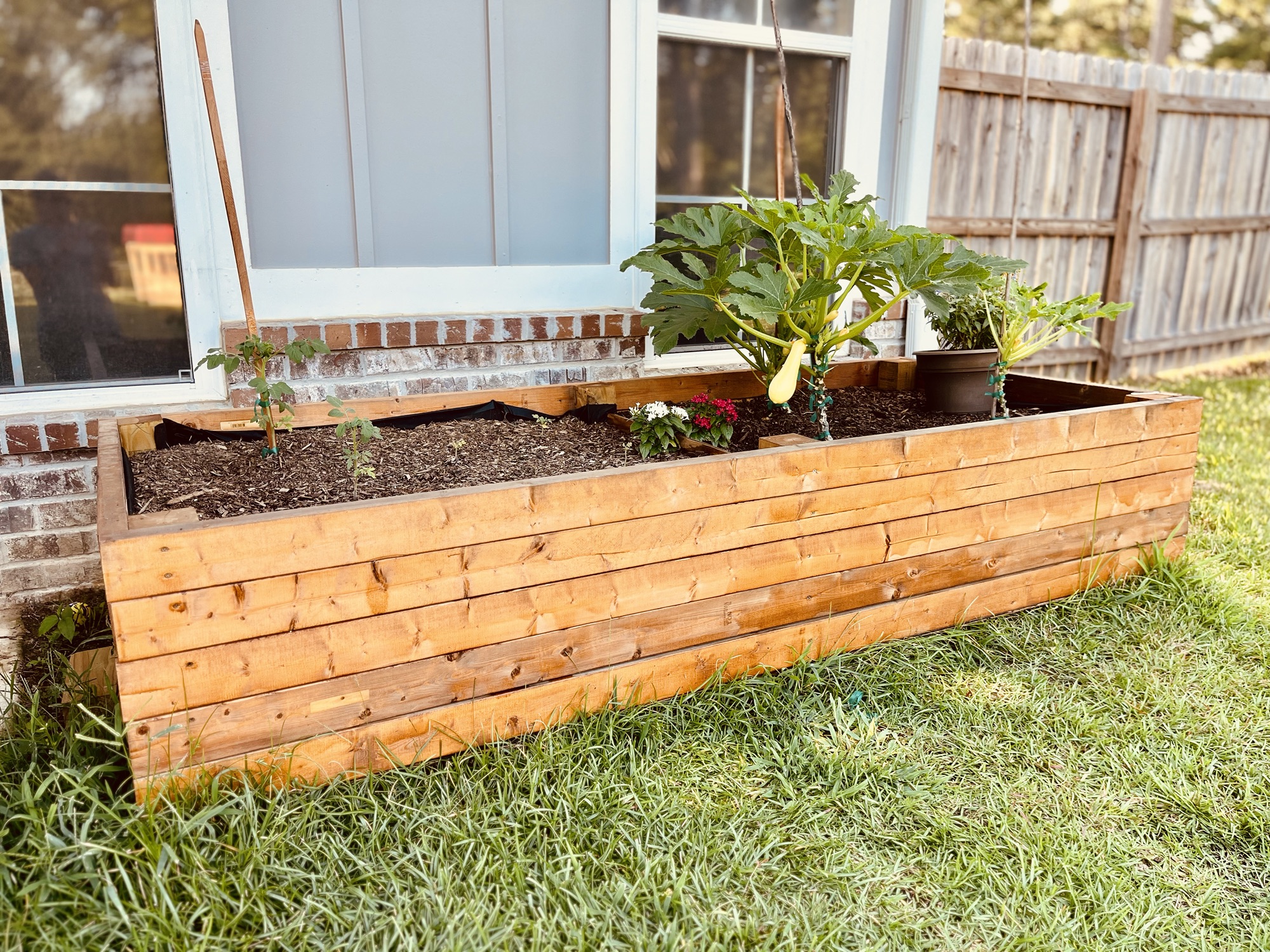 The Ultimate Guide to Building a Raised Garden Bed